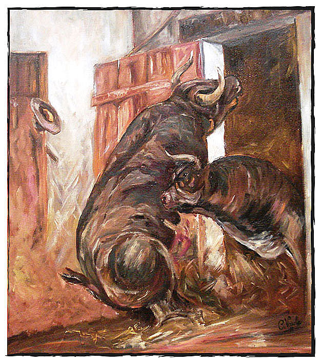 toros
