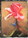flor